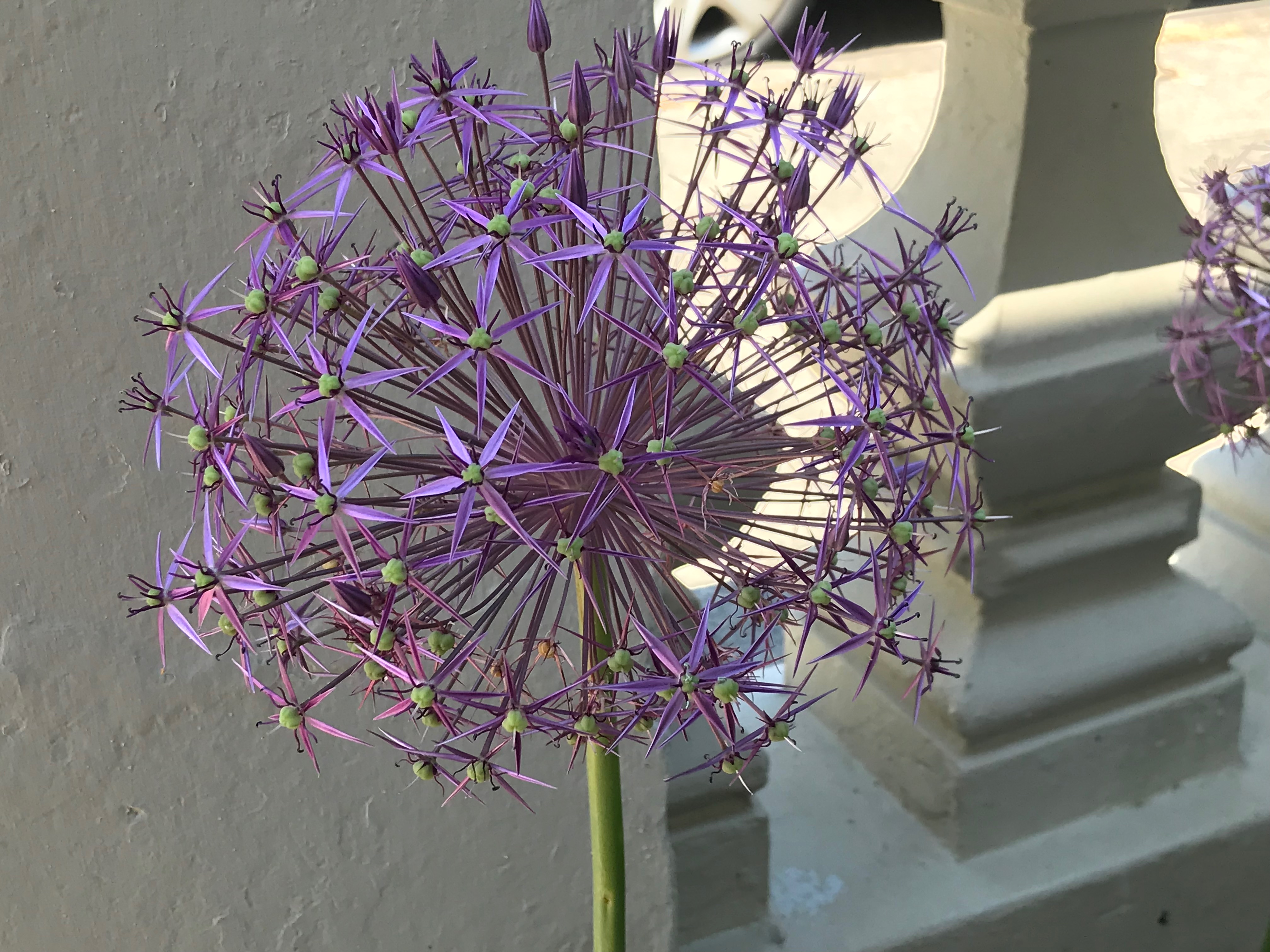 landscaper margate kent