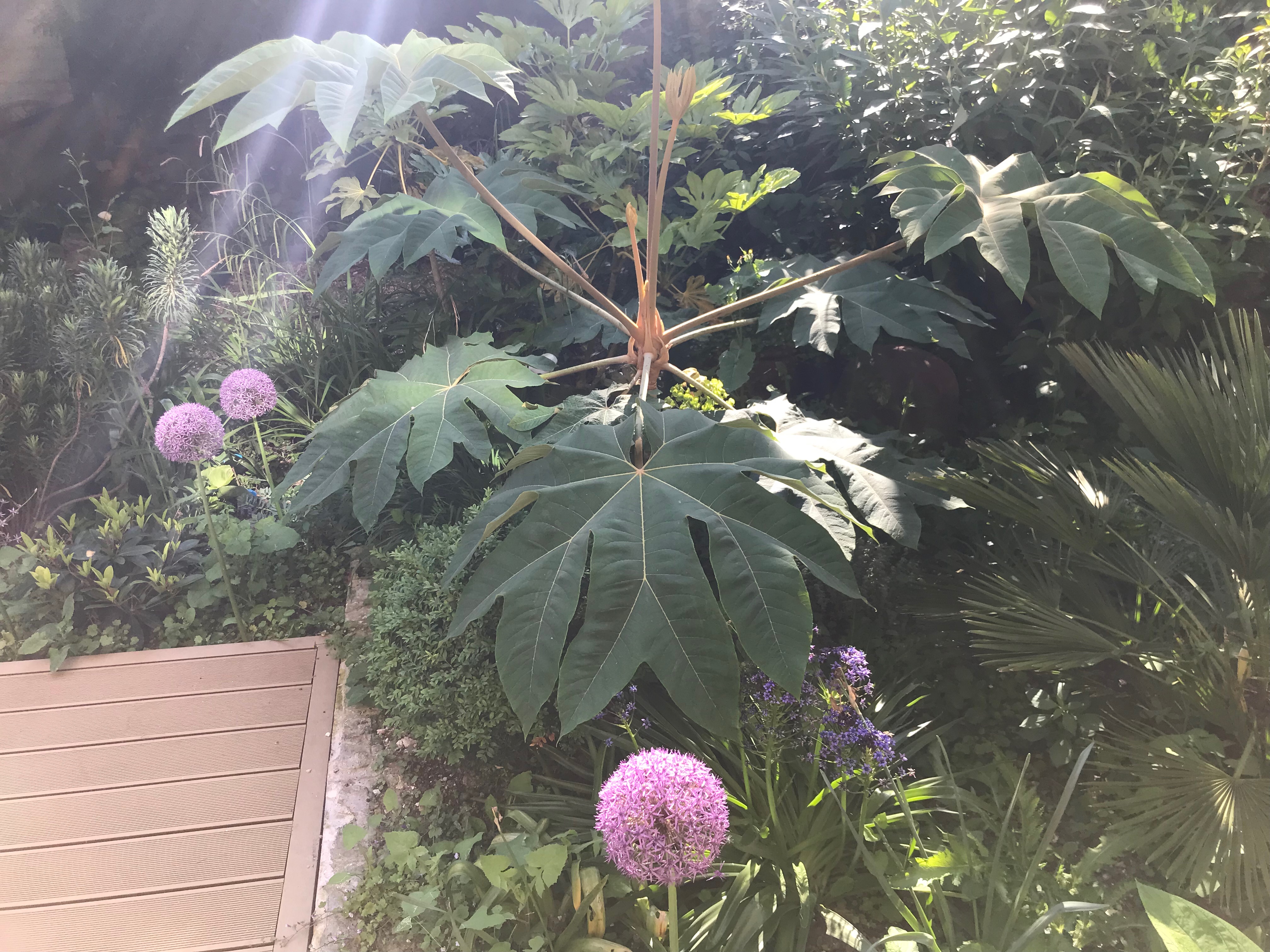 landscaper margate kent