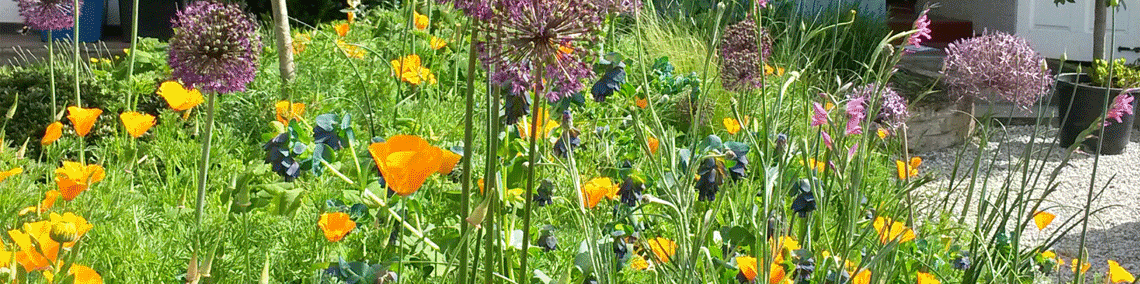 Horticulture in Margate, Thanet Kent