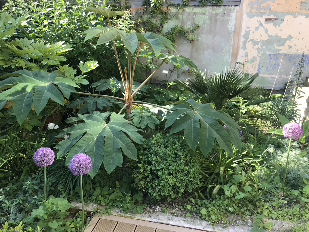 landscaper margate kent